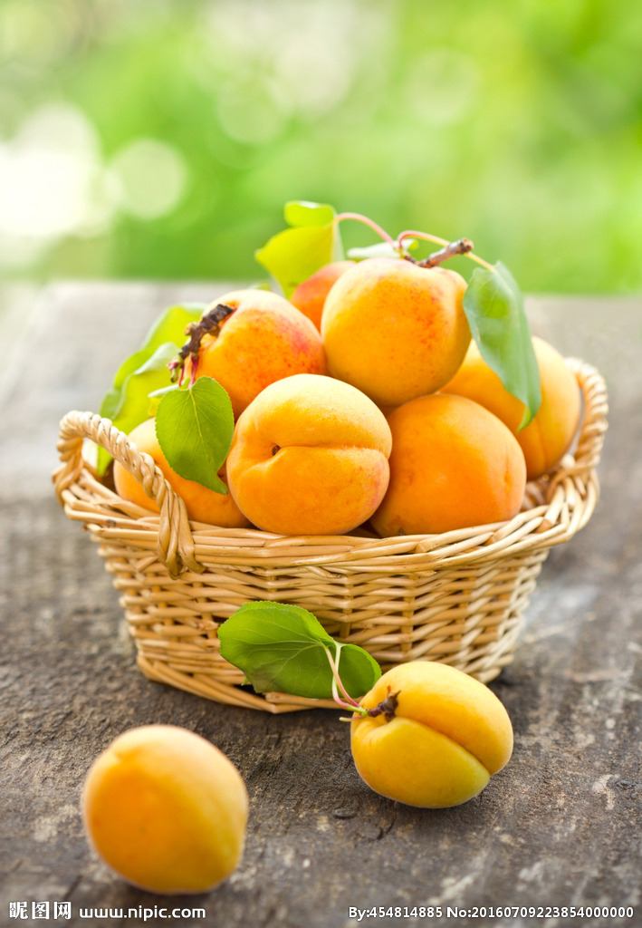 首页-乐鱼leyu官方网站