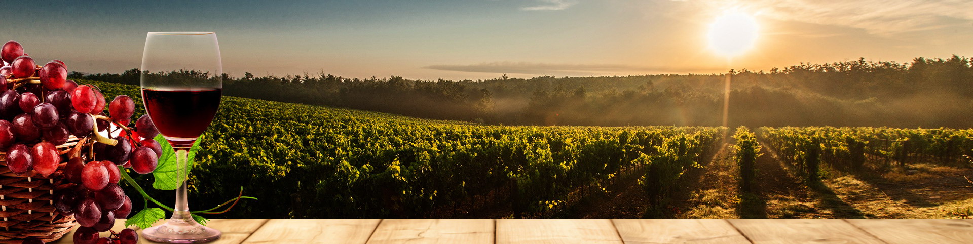 首页-乐鱼leyu官方网站