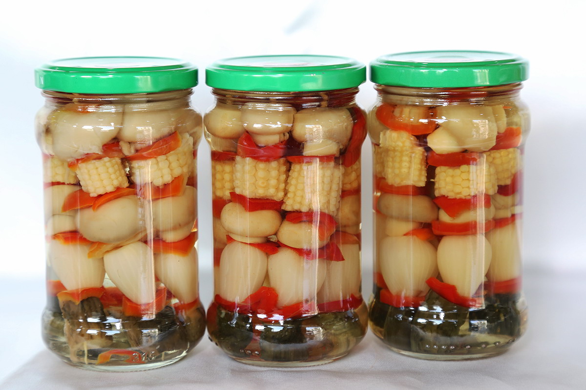 首页-乐鱼leyu官方网站