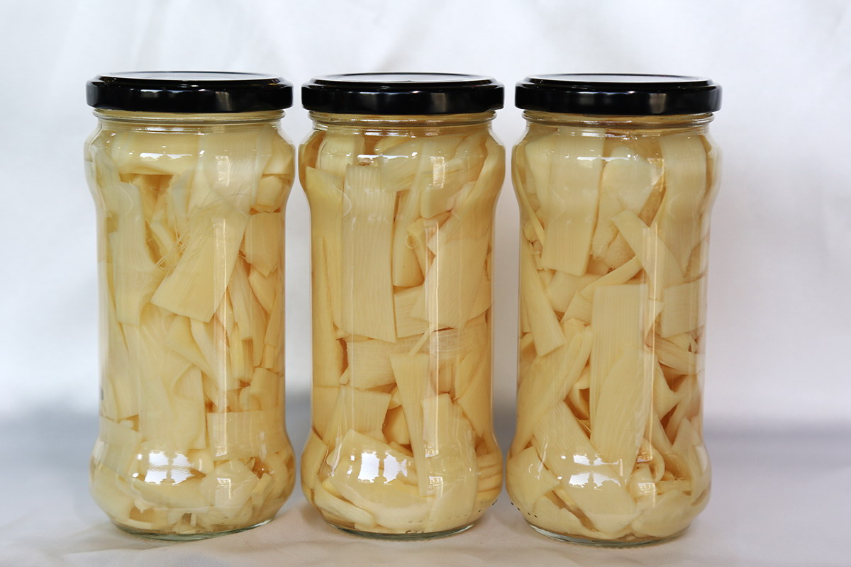 首页-乐鱼leyu官方网站