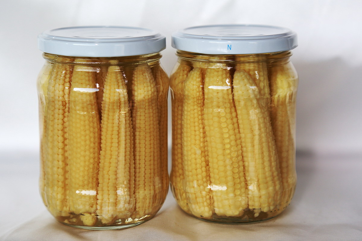 首页-乐鱼leyu官方网站